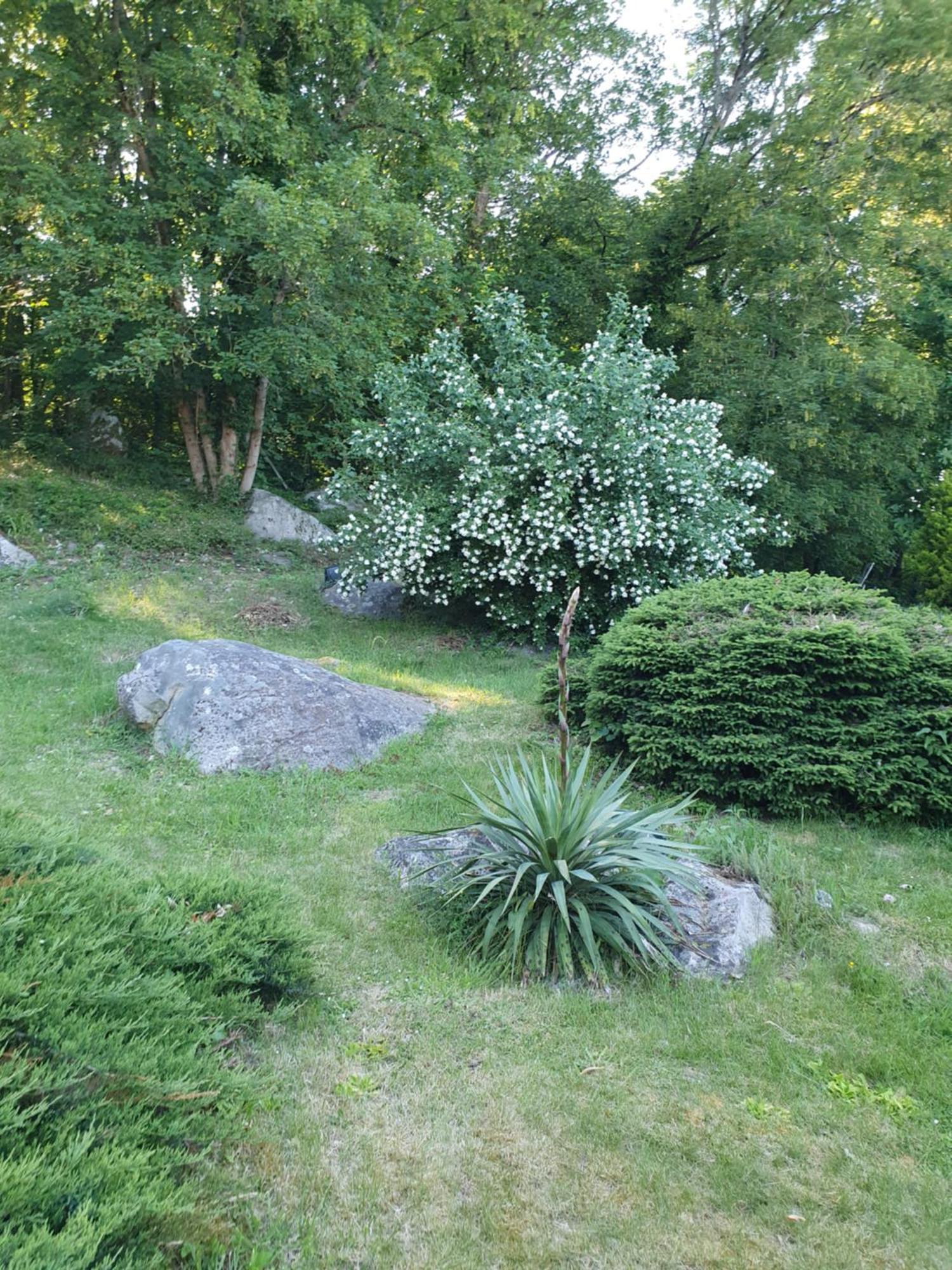Le Jardin Des Roches Bed & Breakfast Moigny Екстериор снимка
